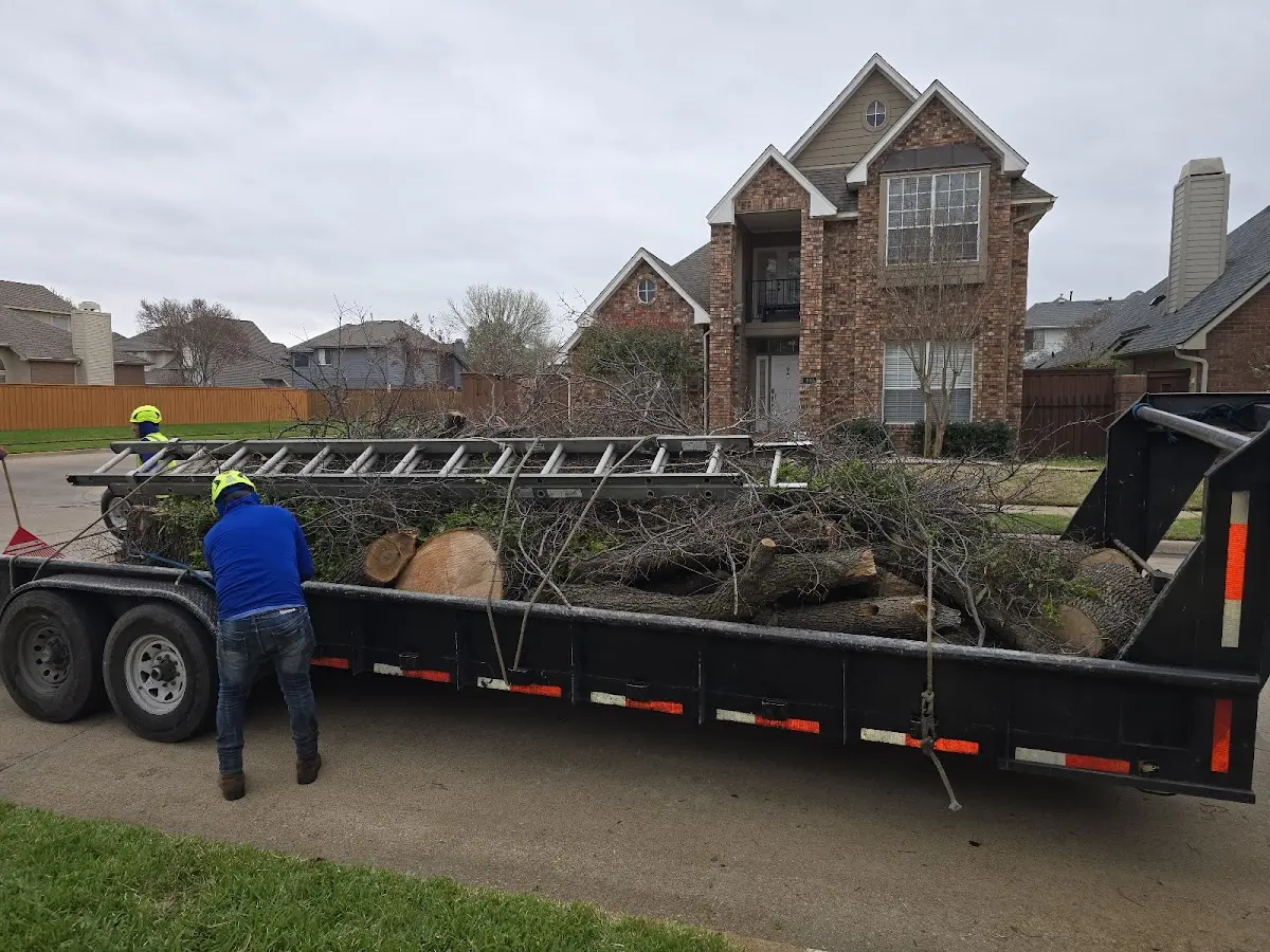 Expert Tree Fertilization with proper safety equipment in Orchard